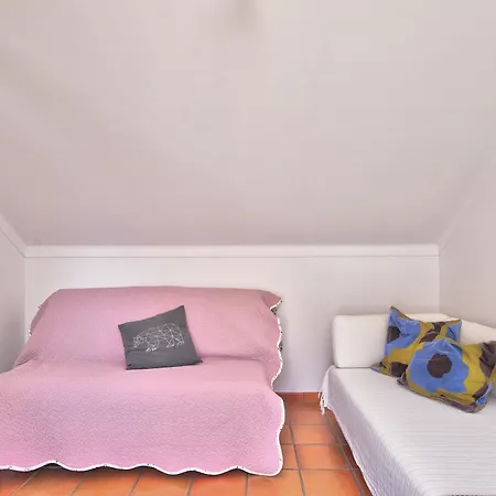 Casa Do Bico Apartment Costa Nova
